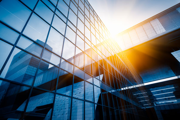How Commercial Blackout Window Film Enhances Privacy and Energy Efficiency in UAE